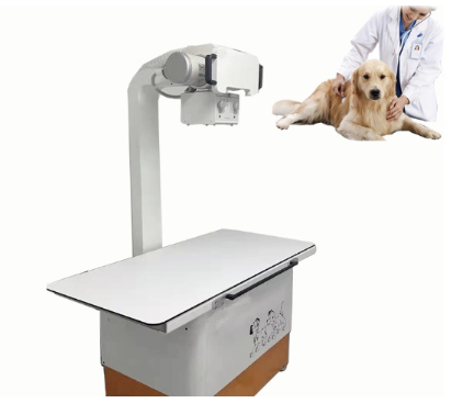 pet-x-rays x-rays