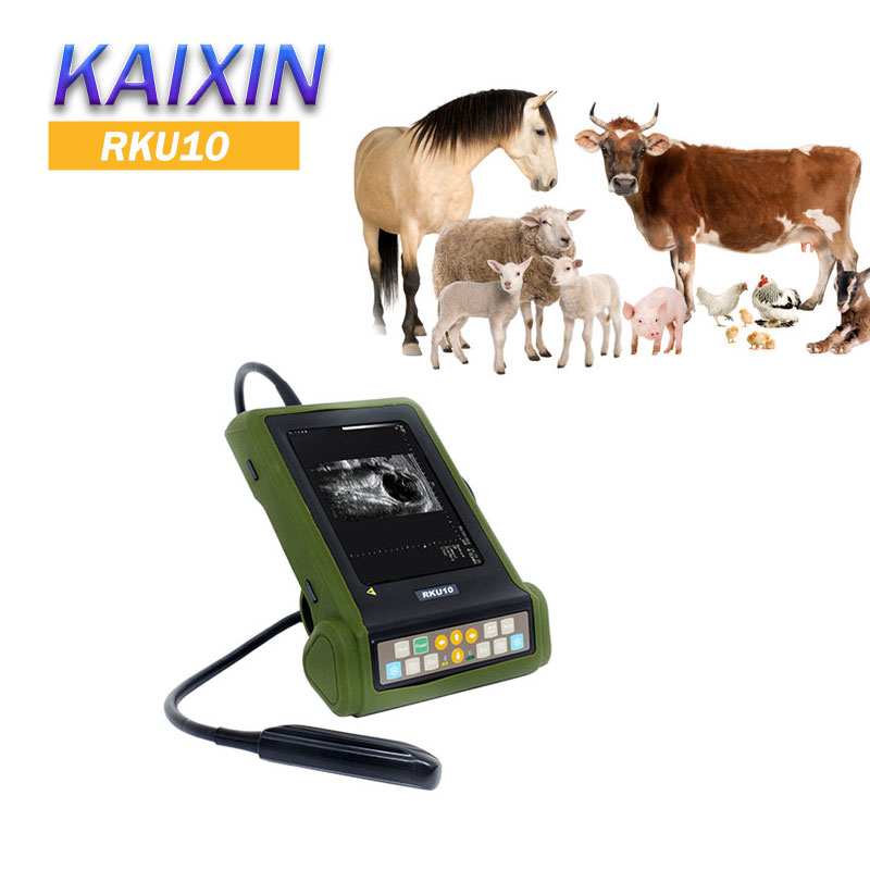 Kaixin  RKU10 