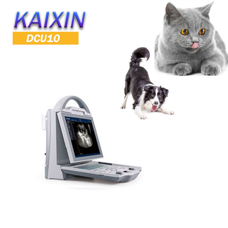 Kaixin DCU10
