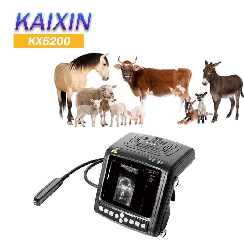 Kaixin KX5200