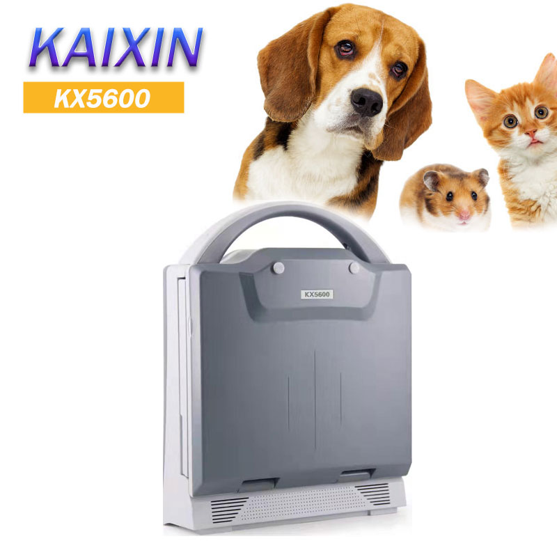 Kaixin Kx5600