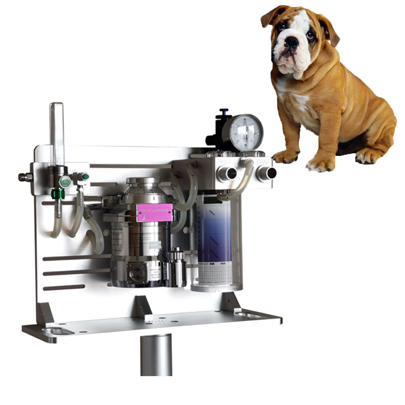 Veterinary Anesthesia Machine Wholesale High Quality Veterinary Clinical Anesthesia Machine