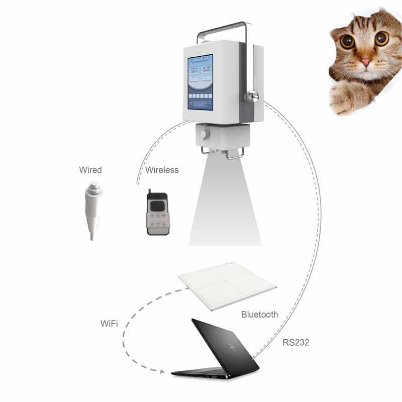 Veterinary X-ray machine for pet hospital 