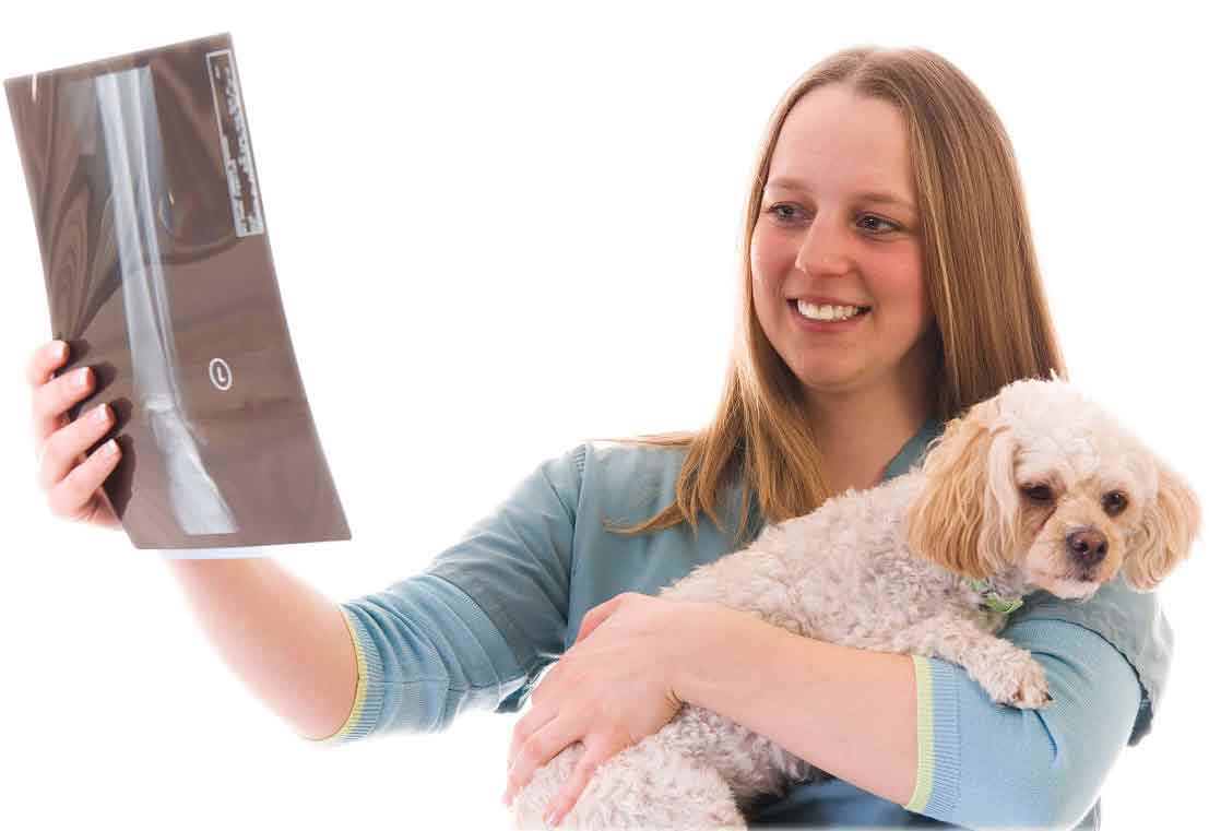 VETERINARY X RAY MACHINE