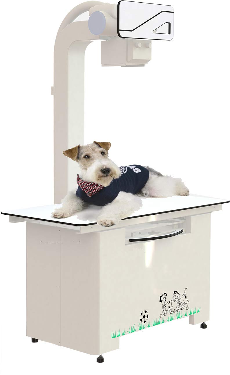 VETERINARY X RAY MACHINE