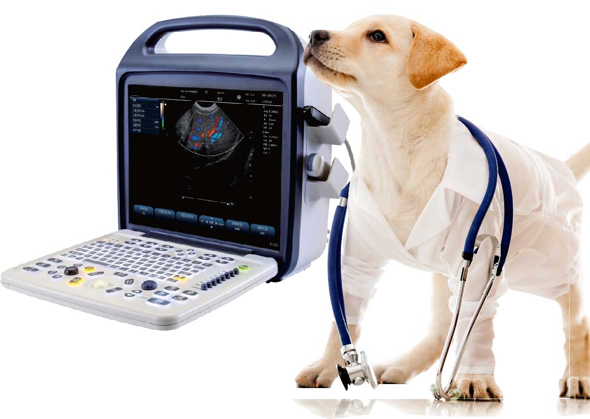 COMPREHENSIVE SUPPLIER OF IMAGING PRODUCTS